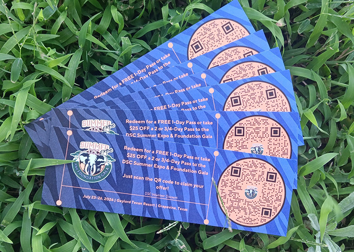 WIN DSC Summer Expo Tickets
